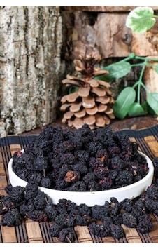 Erzincan Kuru Karadut 500 Gr - Ögt Diğer