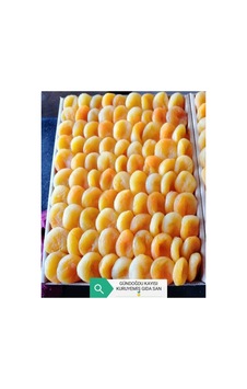 Sarı Kayısı 1 Numara 1000gr Diğer