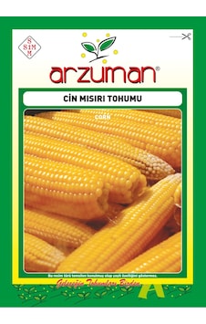 Cin Mısır Tohumu 25 GR Patlatmalık Popcorn Mısır Cin Mısır Tohumu 25 GR Patlatmalık Popcorn Mısır