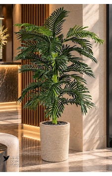 Yapay Çiçek Sitesi Bohem Saksıda Yapay Areka Palmiyesi 150 Cm Salon Ve Otel Dekorasyonu Yeşil Yapay Çiçek Sitesi Bohem Saksıda Yapay Areka Palmiyesi 150 Cm Salon Ve Otel Dekorasyonu Yeşil