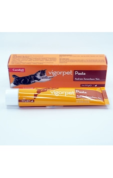 Candioli Vigorpet Pasta Kedi Tüy Atıcı 50 G