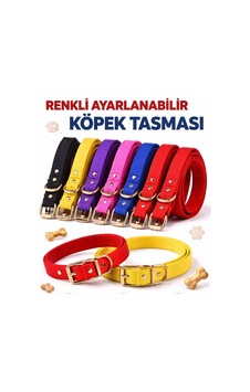 Ayarlanabilir Kedi Köpek Boyun Tasması 35 Cm Çok Renkli Ayarlanabilir Kedi Köpek Boyun Tasması 35 Cm Çok Renkli