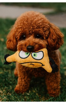 Sevimli Canavar Serisi Köpek Oyuncağı Yes