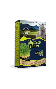 Nature Plan Kedi Çimi
