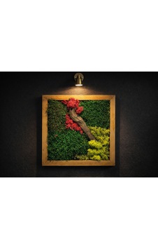 Desenli Doğal Yosun Tablosu 35x35 Desenli Doğal Yosun Tablosu 35x35