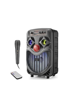 Karaoke Mikrofonlu Bluetooth Hoparlör Fm Radyo 10w 8 İnç Rgb Siyah Ndrp66 Evimdeyokyok