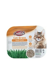 Catlife Cat Grass Kedi Çimi