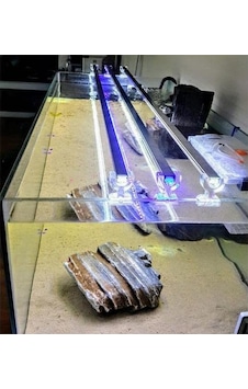 Orionled Akvaryum Led Aydınlatma Karışık Renkli Beyaz Kırmızı Mavi 70cm Orionled Akvaryum Led Aydınlatma Karışık Renkli Beyaz Kırmızı Mavi 70cm