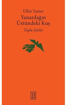 Yanardağın Üstündeki Kuş - Ybve-762688 Yanardağın Üstündeki Kuş - Ybve-762688