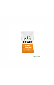 Pioneer P2105 Silajlık Mısır Tohumu 50.000 Adet Sebze Tohumu Pioneer P2105 Silajlık Mısır Tohumu 50.000 Adet Sebze Tohumu