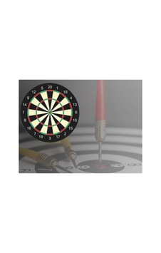 Çift Taraflı Hedef Vurma Dart Seti 28 Cm 4 Adet Ok İle Eğlenceli Oyun Deneyimi Çok Renkli - 865871555