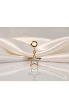 Ariş Yıldız Charm Altın Kolye Ucu N11.20497 Ariş Yıldız Charm Altın Kolye Ucu N11.20497