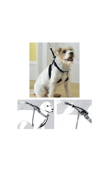 Pawise - 188 - Dog Training Xs 34"x9-12" - Csmo-tex - Eğitim Tasması Yeşil Pawise - 188 - Dog Training Xs 34"x9-12" - Csmo-tex - Eğitim Tasması Yeşil