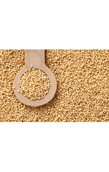 Heybeli Aktar Baharat Amarant Amaranth 1 KG Heybeli Aktar Baharat Amarant Amaranth 1 KG