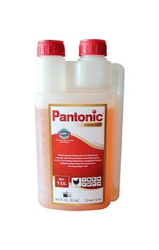 Royal Pantonic Vitamin Aminoasit 1 Lt Royal Pantonic Vitamin Aminoasit 1 Lt