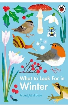 What to Look For in Winter 9780241416228