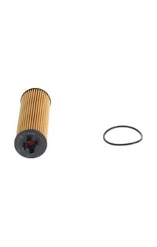 Esse Otomotiv - Aveo T300/corsa E B14xel Yağ Filtresi Bshf026407324 650246-55589295 Esse Otomotiv - Aveo T300/corsa E B14xel Yağ Filtresi Bshf026407324 650246-55589295