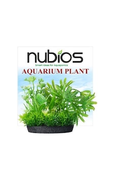 Nubios Kare Tabanlı Plastik Bitki 10 Cm