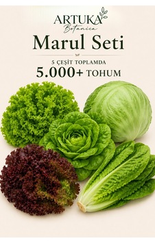 5 Çeşit Marul Tohumu Özel Seti 5.000+ Tohum Kıvırcık, Iceberg & Göbek, Paris Island, Lollo Rosso, Yedikule 5 Çeşit Marul Tohumu Özel Seti 5.000+ Tohum Kıvırcık, Iceberg & Göbek, Paris Island, Lollo Rosso, Yedikule