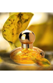 Chopard Casmir Edp 100 Ml Aromatik Chopard Casmir Edp 100 Ml Aromatik
