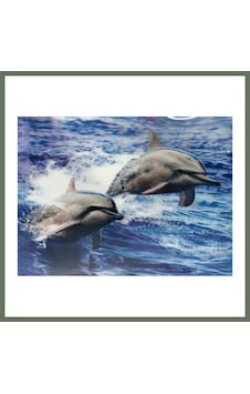 Bezos 3 Boyutlu Resim Sevimli Yunuslar İkili Yunus Resmi Tablosu 30x40 Cm Bezos1 Bezos 3 Boyutlu Resim Sevimli Yunuslar İkili Yunus Resmi Tablosu 30x40 Cm Bezos1