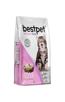 Bestpet Tavuklu Yavru Kedi Maması 15 KG Bestpet Tavuklu Yavru Kedi Maması 15 KG