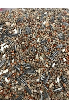 Forpus Papağani Yemi Özel Karişim Zengin İçerik 1 KG