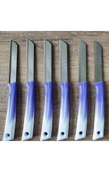 Solingen Marka Meyve Bıçağı 6'lı Set-1 - Mor Solingen Marka Meyve Bıçağı 6'lı Set-1 - Mor