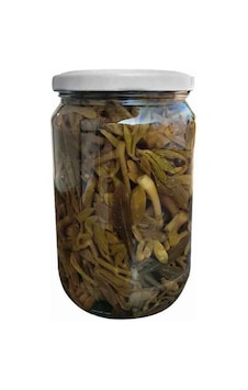 Kaya Koruğu 250gr Kaya Koruğu 250gr