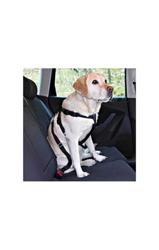 Northcity Köpek Emniyet Kemeri Medium 50-70 Cm - Rahatlık Ve Güvenli Yürüyüş İçin Mükemmel Seçim Northcity Köpek Emniyet Kemeri Medium 50-70 Cm - Rahatlık Ve Güvenli Yürüyüş İçin Mükemmel Seçim