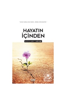 Hayatın İçinden / Geylani Akan 9786257810920 Hayatın İçinden / Geylani Akan 9786257810920