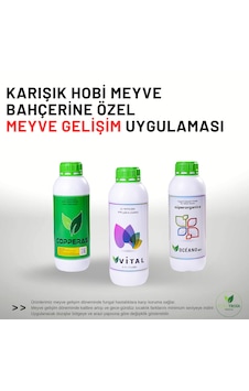 Hobi Bahçelerine Özel Meyve Gelişim Uygulaması Hobi Bahçelerine Özel Meyve Gelişim Uygulaması