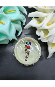 Yüz Taşı Face Gems Yapışkan Burun Parmak Hızma Model46 Çok Renkli Yüz Taşı Face Gems Yapışkan Burun Parmak Hızma Model46 Çok Renkli