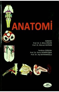Anatomi