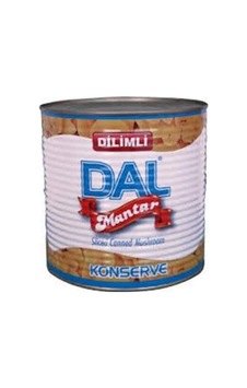 Dal Dilimli Mantar Konservesi 2850 G