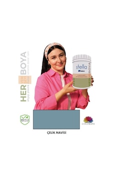Stella Serisi Yeni Nesil Yüzey Dönüşüm Boyası - Çelik Mavisi Diğer