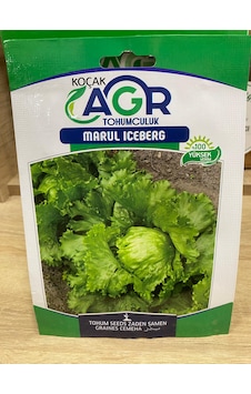 Agr Marul Iceberg Tohum 170 Adet 1 Paket
