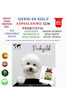 Rb Pharma Çok Güçlü Probiyotik 80 G