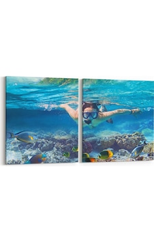 Olla 125x60 Cm 12076k2y Akvaryum / Balık Görseli Kare 2'li Yatay Kanvas Tablo Olla 125x60 Cm 12076k2y Akvaryum / Balık Görseli Kare 2'li Yatay Kanvas Tablo