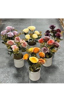 Saksılı Pastel Garnitürlü Lüx Gül 6dl