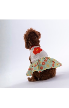 Florelle Çiçek Desenli Kedi Köpek Elbisesi - Kedi Köpek Kıyafeti