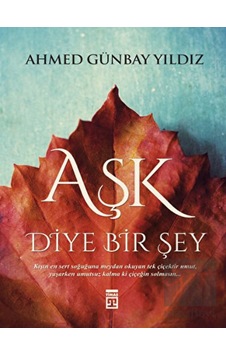 Timaş Yayınları - Aşk Diye Bir Şey