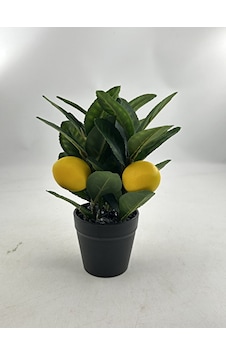 Koçtaş Yapay Bitki Küçük Limon Yeşil Koçtaş Yapay Bitki Küçük Limon Yeşil