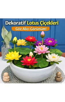 Lexroo 20 Adet Lotus Çiçeği Tohumu Nilüfer Çiçeği Karışık Renkli Lexroo 20 Adet Lotus Çiçeği Tohumu Nilüfer Çiçeği Karışık Renkli
