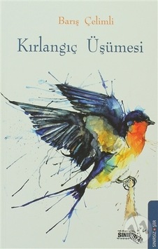 Kırlangıç Üşümesi - Barış Çelimli - Sınırsız Kitap Kırlangıç Üşümesi - Barış Çelimli - Sınırsız Kitap