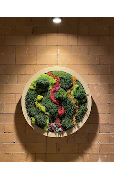 Yuvarlak Doğal Yosun Tablosu 60x60 Yuvarlak Doğal Yosun Tablosu 60x60