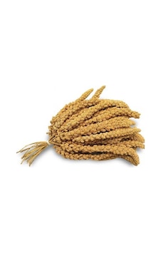 Doğal Dal Darı 250 Gr