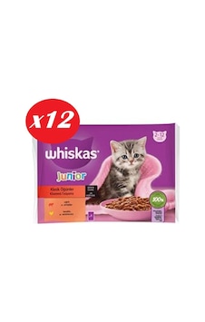 Whiskas Junior Yavru Kedi Sığırlı Tavuklu 4x85 Gr Set 12'li Whiskas Junior Yavru Kedi Sığırlı Tavuklu 4x85 Gr Set 12'li