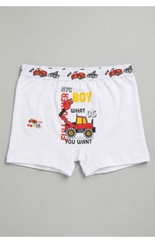 Panivue Erkek Çocuk Renkli Ve Sevimli Desenli Pamuklu Boxer Beyaz3 Beyaz