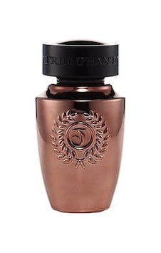 Triumphant Bronze Glory Erkek Parfüm EDT 100 ML